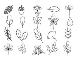 set of hand drawn flowers and leaves line art doodles. aesthetic illustration vector