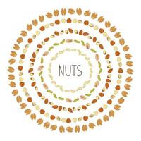 Vector frames with cashew, pistachio, peanut, hazelnut, walnut, chestnut, almond. Healthy vegan food element. Nut wreath in doodle or cartoon style