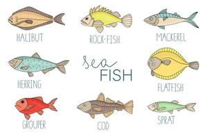 Vector colored set of fish. Collection of with halibut, rock-fish, mackerel, herring, flatfish, sprat, grouper, cod. Underwater illustration