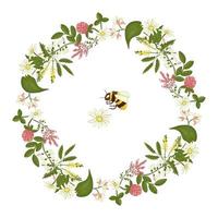 Vector wreath of acacia, heather, camomile, buckwheat, clover, melilot, bumblebee. Hand drawn cartoon style illustration. Cute frame with wild flowers for natural or card design