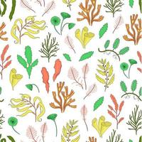 Vector colored seamless pattern of seaweeds. Colorful repeating background with laminaria, focus, macrocystis,sargassum, padina, dasya, porphyra, phyllophora, cladophora, ulva, acetabularia.