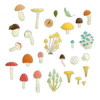 Vector set of colored mushrooms. Collection of isolated bright aspen, orange-cup, champignon, chanterelle, toadstool, death cap, fungus. Food elements in cartoon style.