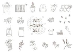 Vector black and white set of honey, bee, bumblebee, beehive, wasp, apiary, meadow flowers, honeycombs, propolis, jar, spoon. Monochrome honey collection isolated on white background.