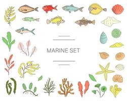 Vector  colored set of fish, sea shells, seaweeds isolated on white background. Colorful marine collection. Underwater illustration