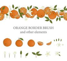 Vector  border brush with oranges and orange design elements. Repeat border pattern with citrus fruit, leaves, flowers, twigs. Fresh food illustration.