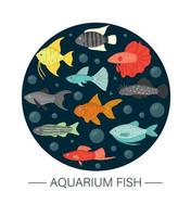 Vector illustration of aquarium fish framed in circle on dark blue background. Template for banner with isolated molly, guppy, platyfish, goldfish, danio, scalare, cichlasoma. Underwater illustration