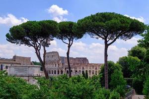 Vista del Coliseo a través de pinos, Roma, Italia foto