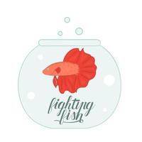 Vector colored illustration of fish in aquarium with fish name lettering. Cute picture of fighting fish for pet shops or children illustration