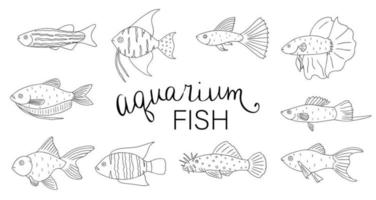 Vector black and white set of aquarium fish isolated on white background. Monochrome collection of molly, guppy, platyfish, goldfish, danio, scalare, cichlasoma. Underwater illustration