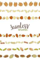 Vector seamless border brushes with cashew, pistachio, peanut, hazelnut, walnut, chestnut, almond. Food horizontal pattern with nuts in cartoon style