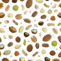 Vector seamless pattern of colored nuts. Repeat background with isolated bright hazel nut, walnut, pistachio, cashew, almond, coconut, pecan, pine nut, peanut, macadamia