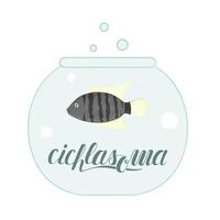 vector ilustración coloreada de peces en acuario con letras de nombre de peces. linda imagen de cichlasoma para tiendas de mascotas o ilustración infantil