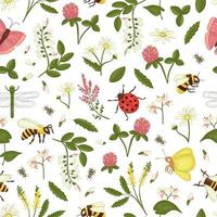Vector seamless pattern of wild flowers, bee, bumblebee, dragonfly, ladybug, moth, butterfly. Repeating background with meadow or field insects, acacia, heather, camomile, buckwheat, clover, melilot