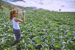 Woman stands reading on a garden turnip. Morning atmosphere The mountains are foggy. phetchabun phutubberg thailand photo