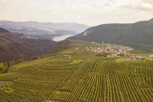 Vista superior de las plantaciones de manzanas de Trentino en Italia foto