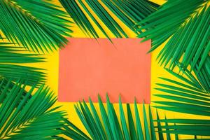 Green tropical palm leaves on bright yellow background. Creative nature layout made leaves. Concept art. Summer concept, tropical palm leaf background, space for text. photo
