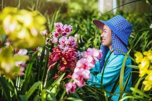 jardinero trabajador está cuidando la flor de la orquídea en el jardín. agricultura, cultivo de plantaciones de orquídeas. orquídea cymbidium