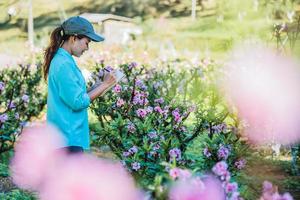 el estudio de la niña observa los cambios, el crecimiento del albaricoque en el jardín. hermosa flor de ciruelo flor de albaricoque de fondo. foto