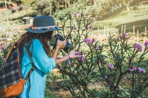 naturaleza de viaje de mujer asiática. viajar relajarse. de pie fotografiando hermosas flores de albaricoque rosa en el jardín de albaricoque.