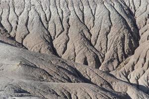 Petrified National Park photo