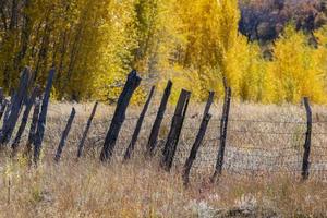Old Fence Near Durango Colorado in Fall