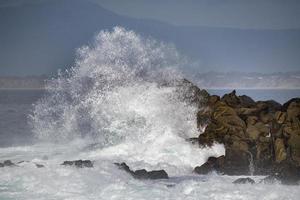 Ocean Surf, Pacfic Grove photo