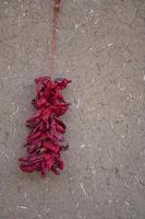 Closeup of String of Hot Peppers, Taos, New Mexico photo