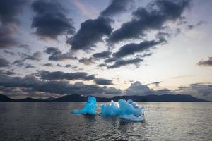 Gaviotas sobre iceberg, Stephens Pass, Alaska foto