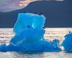 iceberg azul, paso de stephens, alaska foto