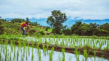 Asian woman travel nature. Travel relax. Walking take a photo on the field. in summer.