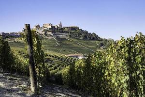 landscapes of vineyards in the Piedmontese Langhe in autumn during the harvest photo