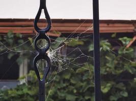 threads of cobwebs of a spider between the iron of a railing photo