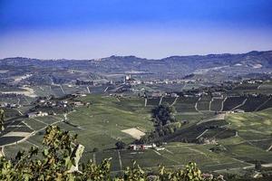 Landscapes of the vineyards of the Piedmontese Langhe in autumn during the grape harvest photo