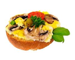 Sandwich with Mushrooms, Tomato, Cheese, Onion and Radish photo