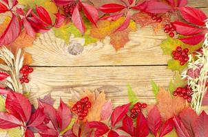 Collage, frame from autumn bright leaves and berries on wooden background. Studio Photo