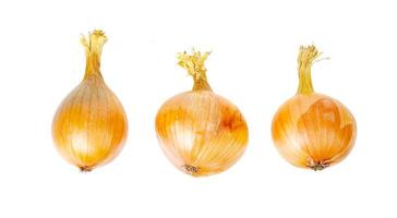 Three golden ripe onions isolated on white background. photo