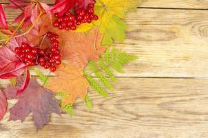 Collage, frame from autumn bright leaves and berries on wooden background. Studio Photo