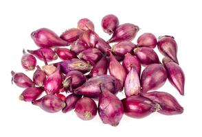 Dark red onion bulbs for planting in ground photo