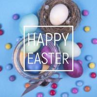 Colorful background with Easter eggs background. Happy Easter concept. Can be used as poster, background, holiday card photo