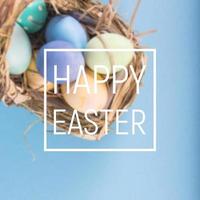 Colorful background with Easter eggs background. Happy Easter concept. Can be used as poster, background, holiday card photo