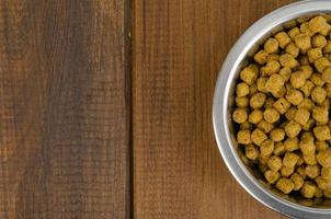 Dry cat food in metal bowl on wooden background. Studio Photo