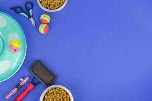 Background of bowls with food, toys and pet care items, top view. Studio Photo