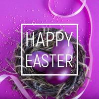 Fondo de colores con fondo de huevos de Pascua. concepto de feliz pascua. se puede utilizar como póster, fondo, tarjeta navideña foto