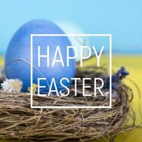 Colorful background with Easter eggs background. Happy Easter concept. Can be used as poster, background, holiday card photo