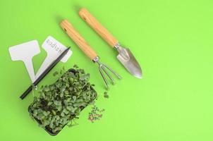 Planting microgreens. Pack with radish seeds. Garden tools for planting plants photo