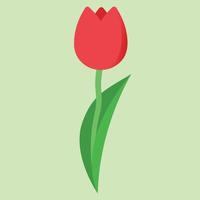 Red tulip. Spring flower. Flowers for Mother's day. Flat vector illustration