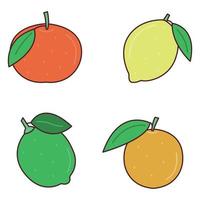 Colorful citrus icon set. Grapefruit, lime, lemon, orange. Whole fruit. Doodle flat vector illustration