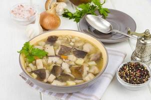 Bowl of forest edible porcini mushroom soup on wooden table photo