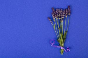 pequeño ramo de flores de lavanda azul foto