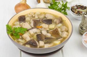 Bowl of forest edible porcini mushroom soup on wooden table photo